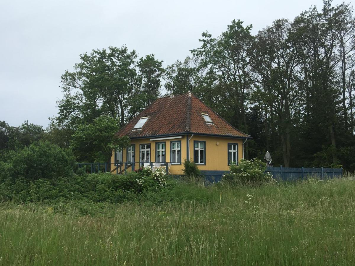 Skaerven Beachfront Apartments And Cottage Nyborg Zewnętrze zdjęcie