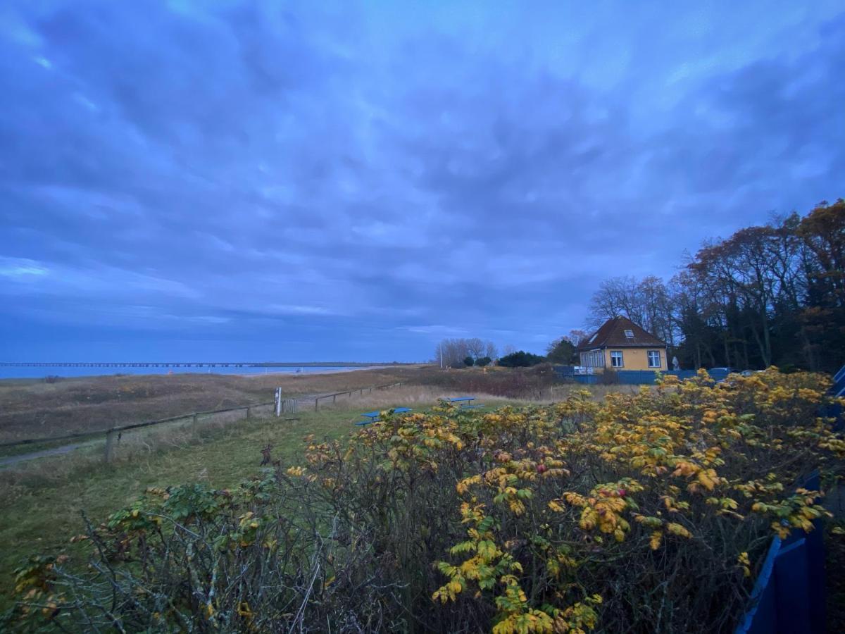 Skaerven Beachfront Apartments And Cottage Nyborg Zewnętrze zdjęcie